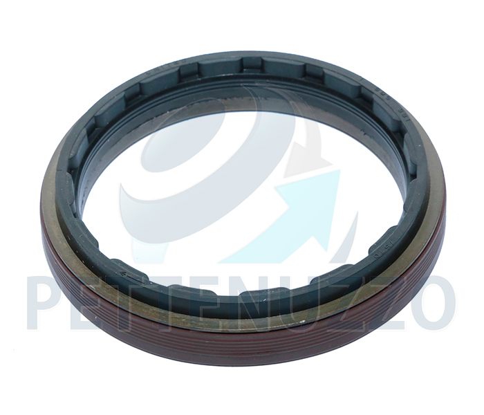 RETENTOR FLANGE PINHAO DIF R660,780,RBP835 1502385 1386594