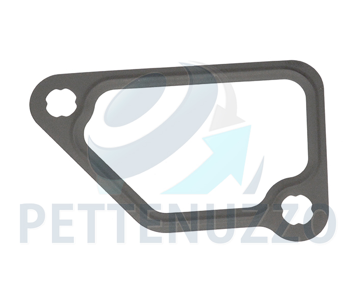 JUNTA CANO DAGUA FH,NH,FM D12C,D 8149301