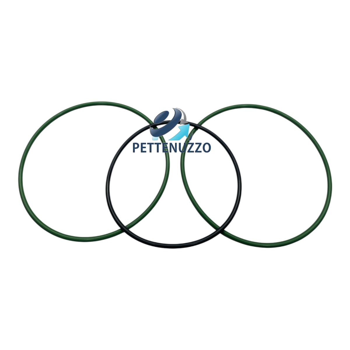 KIT ANEIS CARCACA FILTRO ROTATIVO MOTOR NTG 2731877 2395994