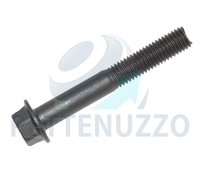 VITE COLLETTORE SCARICO 113.114  1108053