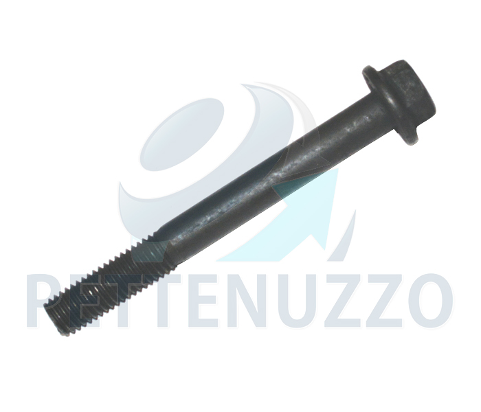 VITE COLLETTORE SCARICO 114.124  1922518 1427831