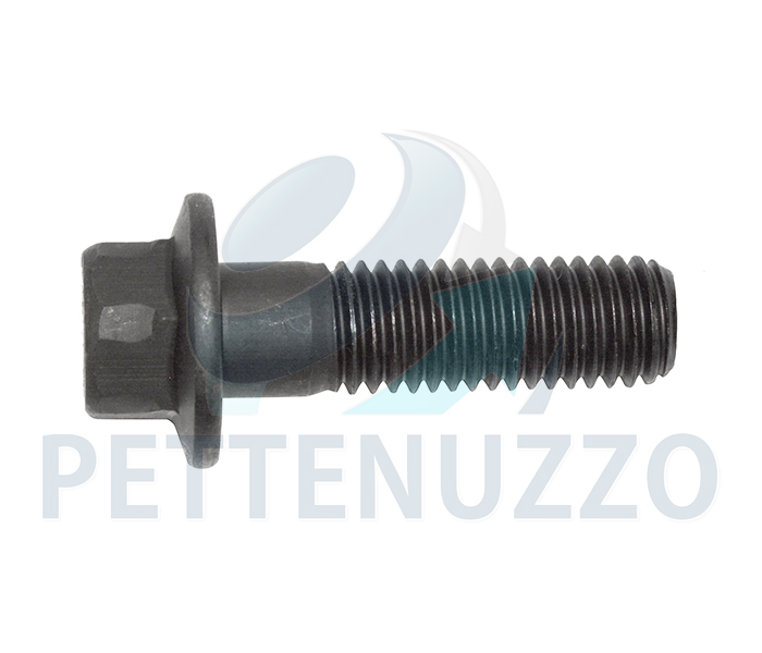 VITE FLANGIATA 815050