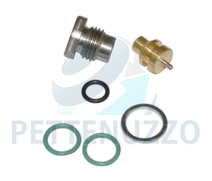 REPARO CILINDRO BASCULAR CAB 124P,G,R 1541983 1433654